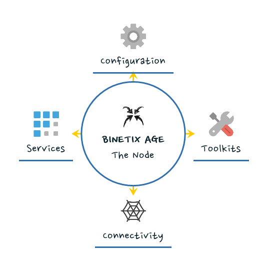 binetix_age_node_overview